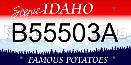 B55503A Idaho License Plate