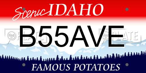 B55AVE Idaho License Plate
