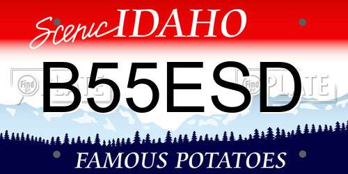 B55ESD Idaho License Plate