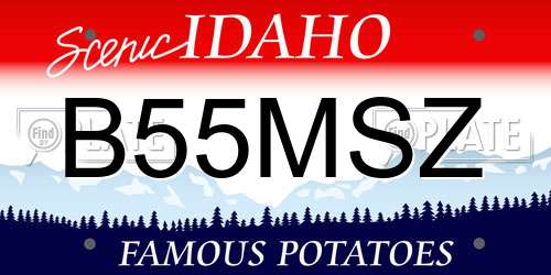 B55MSZ Idaho License Plate