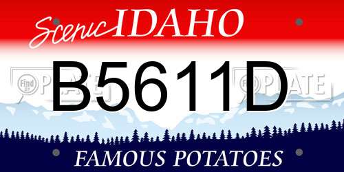 B5611D Idaho License Plate