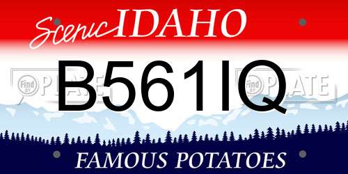 B561IQ Idaho License Plate