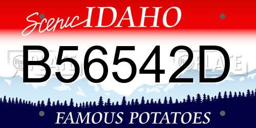 B56542D Idaho License Plate
