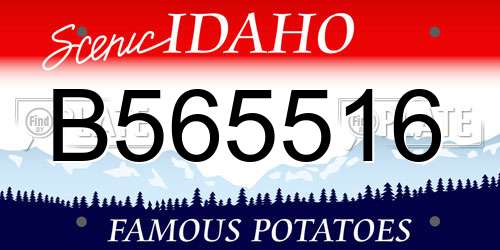 B565516 Idaho License Plate