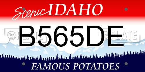 B565DE Idaho License Plate