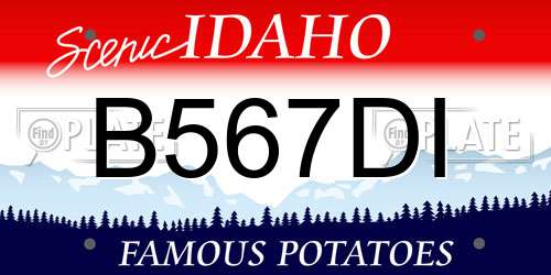 B567DI Idaho License Plate