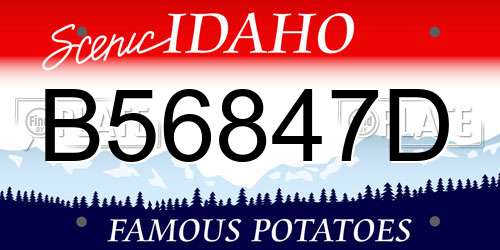 B56847D Idaho License Plate