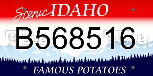 B568516 Idaho License Plate