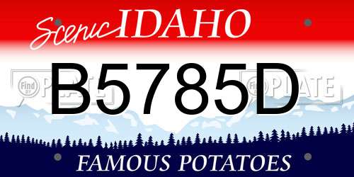 B5785D Idaho License Plate