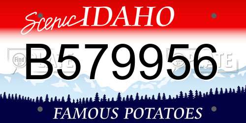 B579956 Idaho License Plate