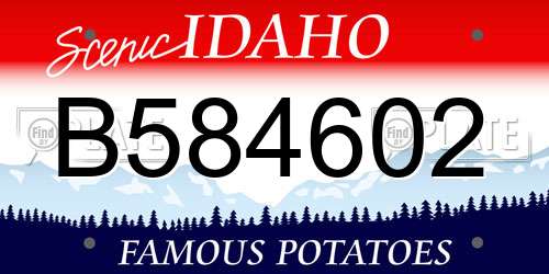 B584602 Idaho License Plate