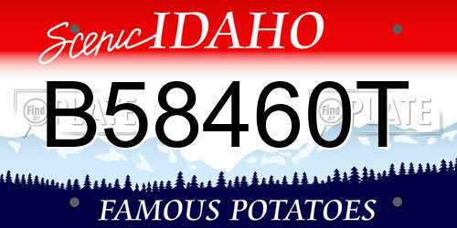B58460T Idaho License Plate