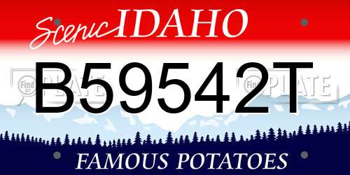 B59542T Idaho License Plate
