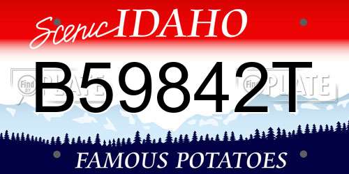 B59842T Idaho License Plate