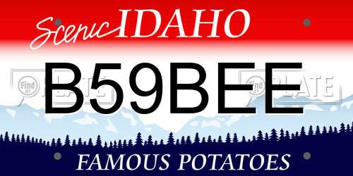 B59BEE Idaho License Plate