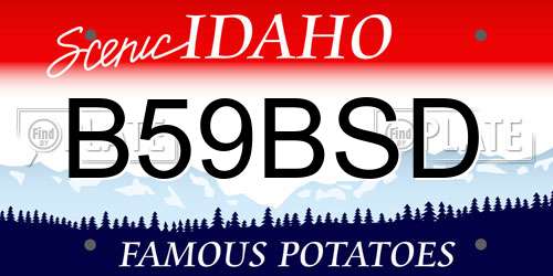 B59BSD Idaho License Plate