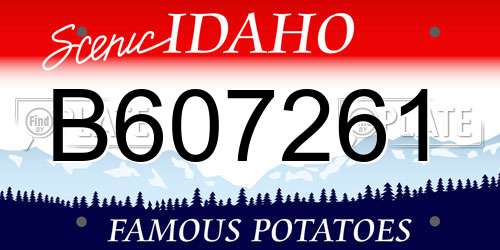 B607261 Idaho License Plate