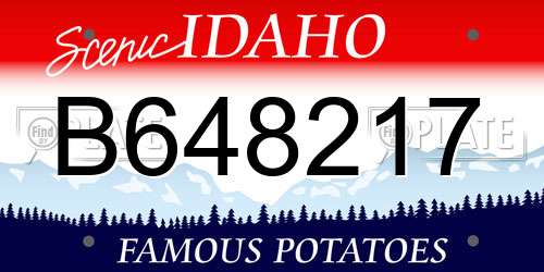 B648217 Idaho License Plate