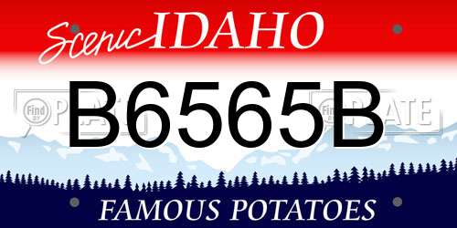 B6565B Idaho License Plate
