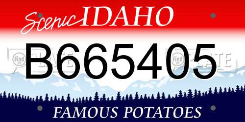 B665405 Idaho License Plate