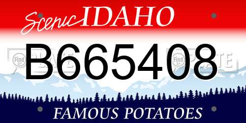 B665408 Idaho License Plate