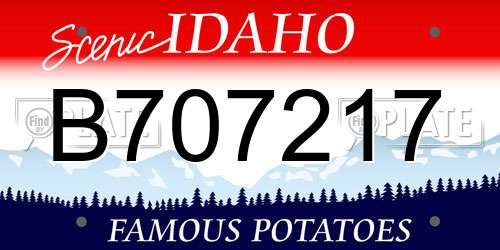 B707217 Idaho License Plate