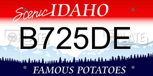 B725DE Idaho License Plate