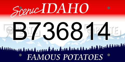 B736814 Idaho License Plate