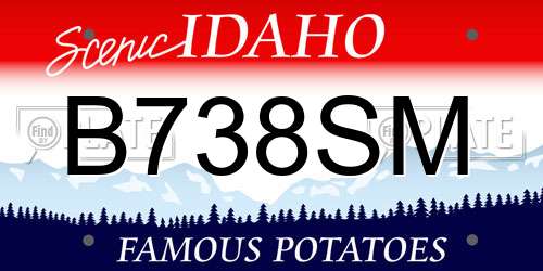 B738SM Idaho License Plate