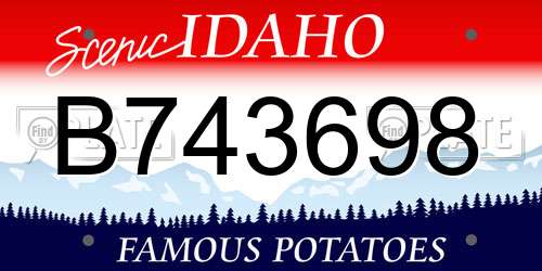 B743698 Idaho License Plate