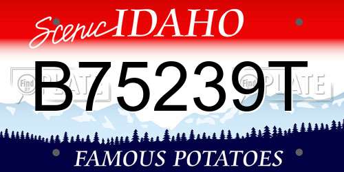 B75239T Idaho License Plate