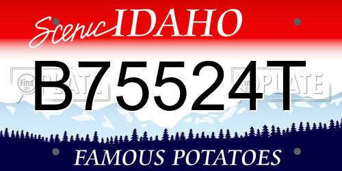 B75524T Idaho License Plate