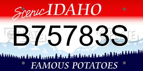 B75783S Idaho License Plate
