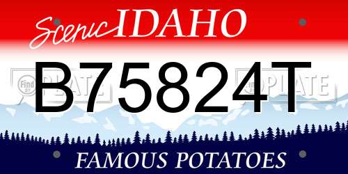 B75824T Idaho License Plate