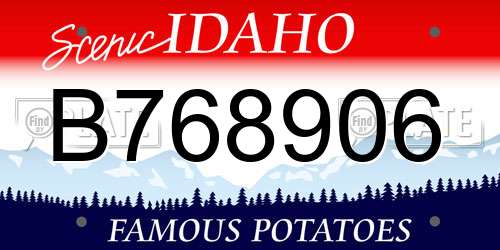 B768906 Idaho License Plate