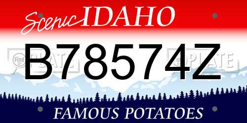B78574Z Idaho License Plate