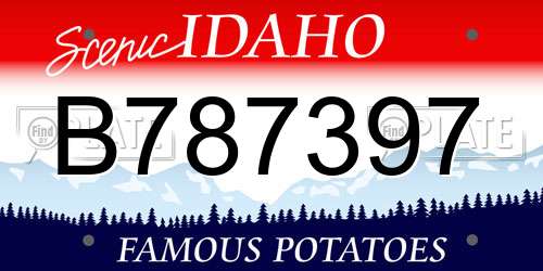 B787397 Idaho License Plate