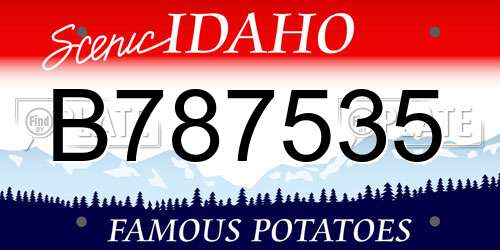 B787535 Idaho License Plate