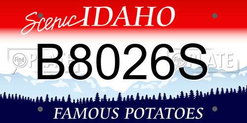 B8026S Idaho License Plate