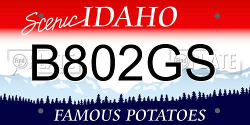 B802GS Idaho License Plate
