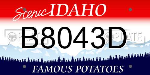 B8043D Idaho License Plate