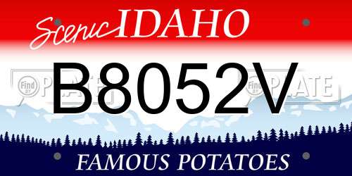 B8052V Idaho License Plate