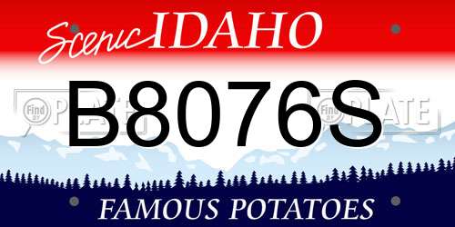 B8076S Idaho License Plate
