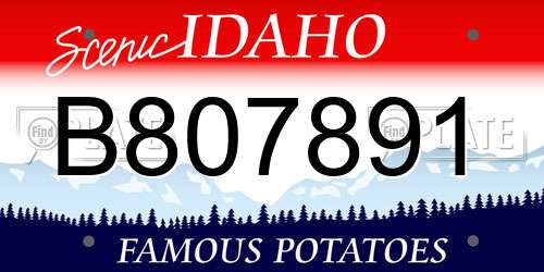 B807891 Idaho License Plate