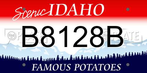 B8128B Idaho License Plate