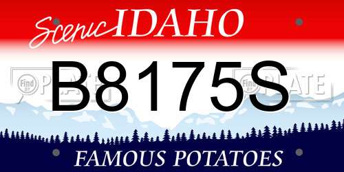 B8175S Idaho License Plate