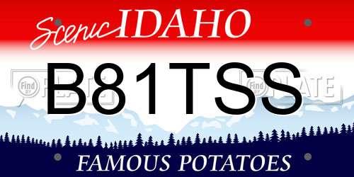 B81TSS Idaho License Plate