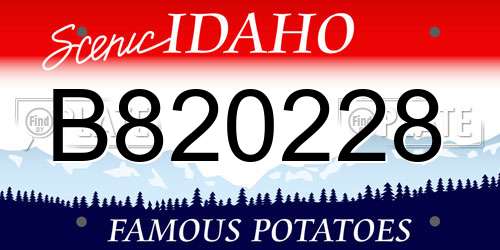 B820228 Idaho License Plate
