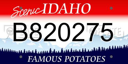 B820275 Idaho License Plate