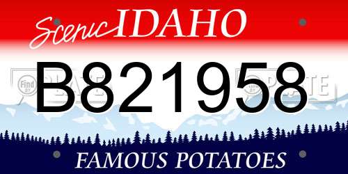 B821958 Idaho License Plate